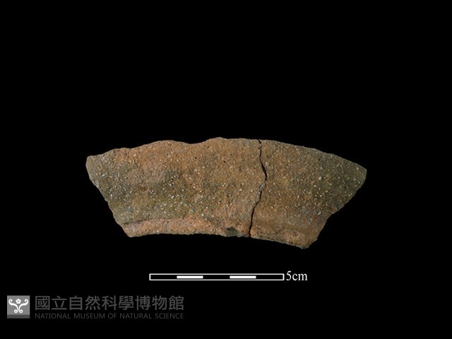 陶罐藏品圖，第1張