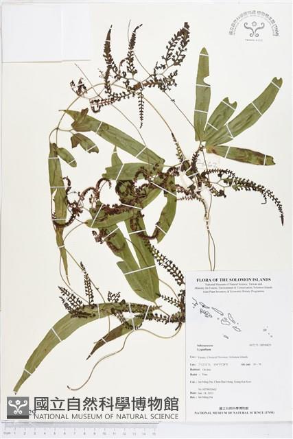 登錄號:BP00829藏品圖，第1張