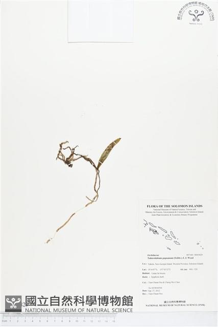 登錄號:BS01829藏品圖，第1張