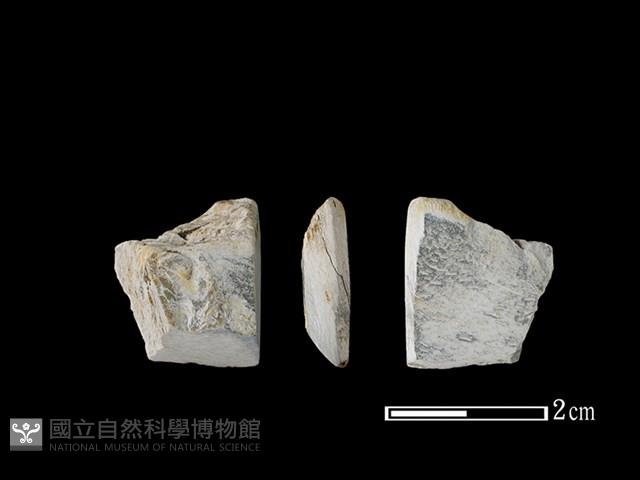 錛鑿形器藏品圖，第1張