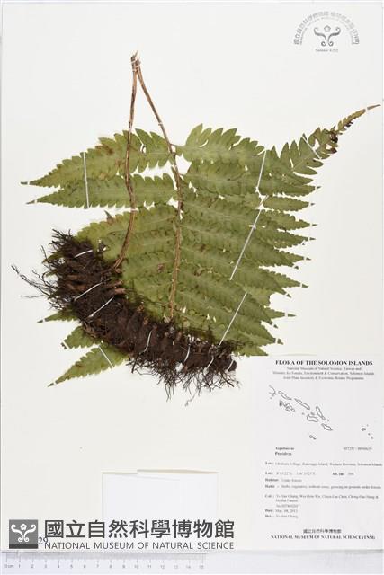 登錄號:BP00629藏品圖，第1張