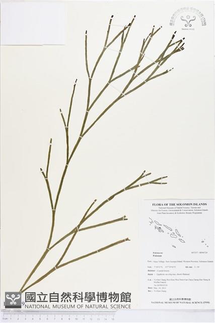 登錄號:BP00729藏品圖，第1張