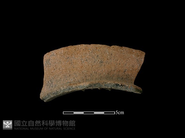 陶罐藏品圖，第1張
