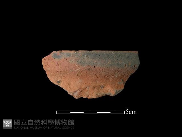 陶罐藏品圖，第1張