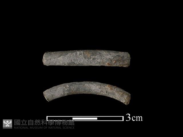 陶環藏品圖，第1張