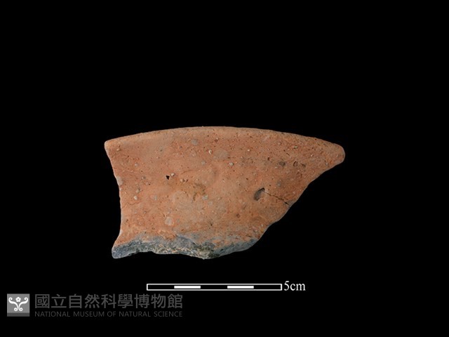 陶罐藏品圖，第1張