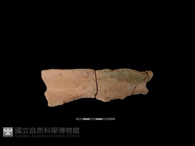 陶罐藏品圖，第1張