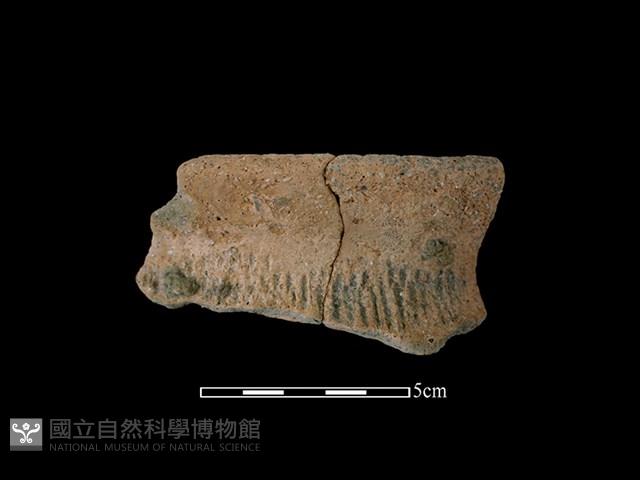 陶罐藏品圖，第1張