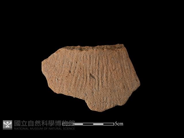 帶紋飾陶片藏品圖，第1張