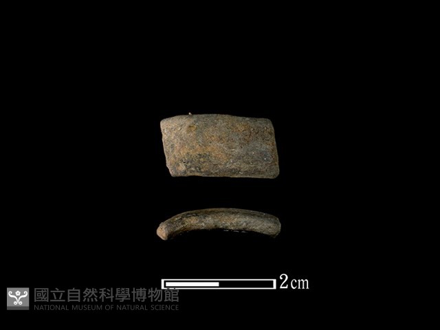 陶環藏品圖，第1張
