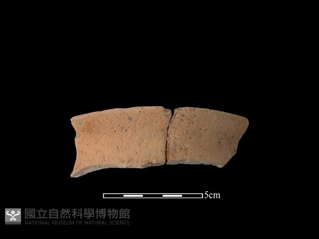 陶罐藏品圖，第1張