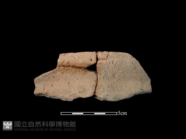 陶罐藏品圖，第1張