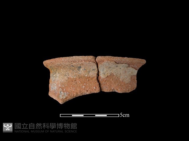 陶罐藏品圖，第1張