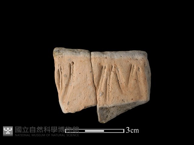 帶紋飾陶片藏品圖，第1張