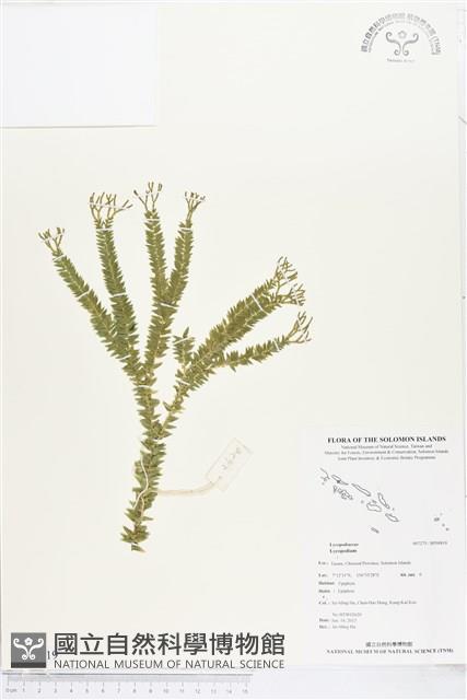 登錄號:BP00819藏品圖，第1張