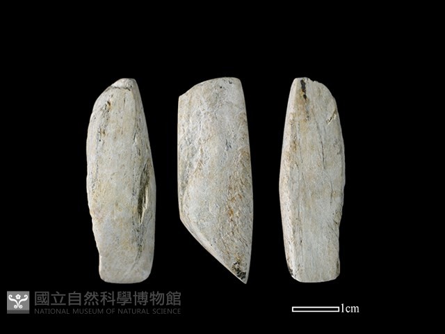 錛鑿形器藏品圖，第1張