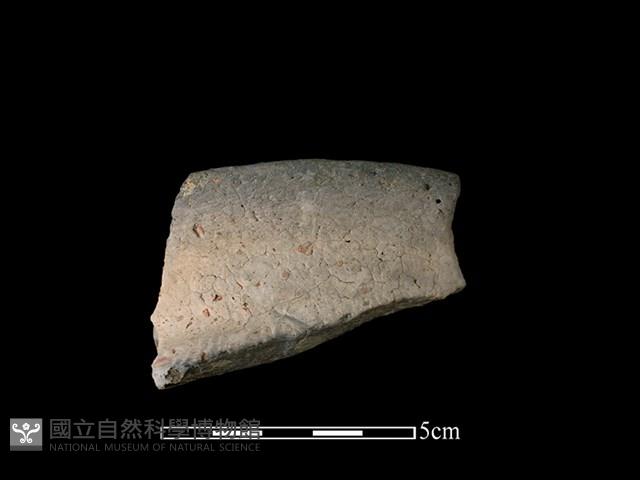 陶罐藏品圖，第1張