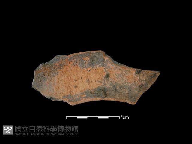 連杯形器藏品圖，第1張