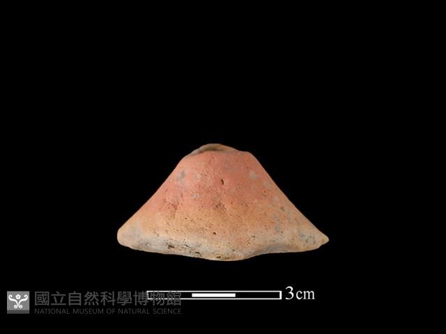 紡輪藏品圖，第1張