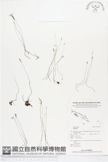 登錄號:BP00419藏品圖，第1張