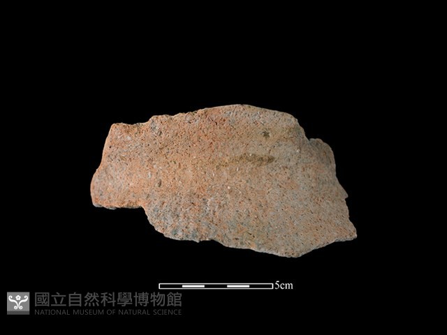 陶罐藏品圖，第1張