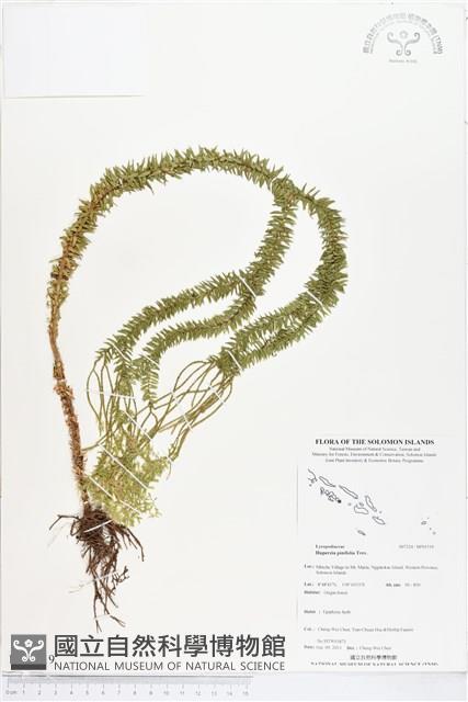 登錄號:BP01519藏品圖，第1張