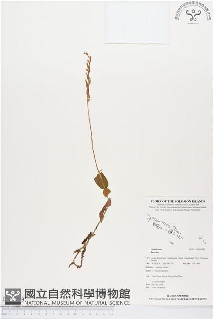 登錄號:BS01519藏品圖，第1張