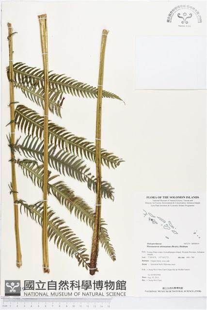 登錄號:BP00919藏品圖，第1張