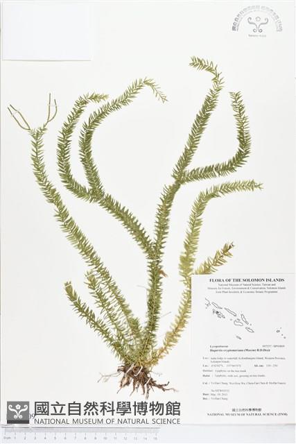 登錄號:BP00809藏品圖，第1張