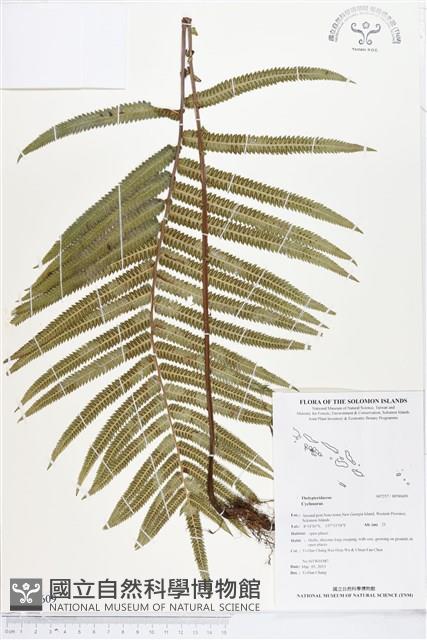 登錄號:BP00609藏品圖，第1張