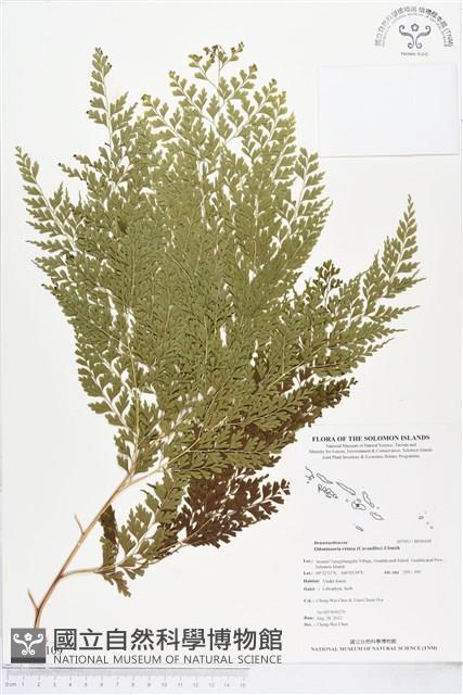 登錄號:BP00109藏品圖，第1張