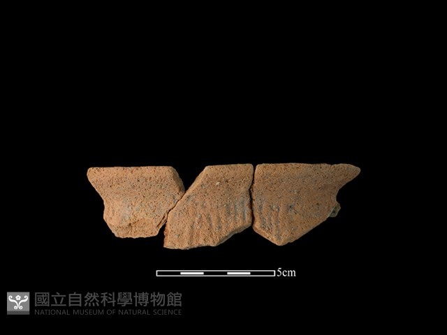 陶罐藏品圖，第1張