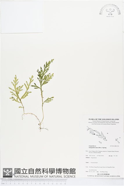 登錄號:BP01709藏品圖，第1張