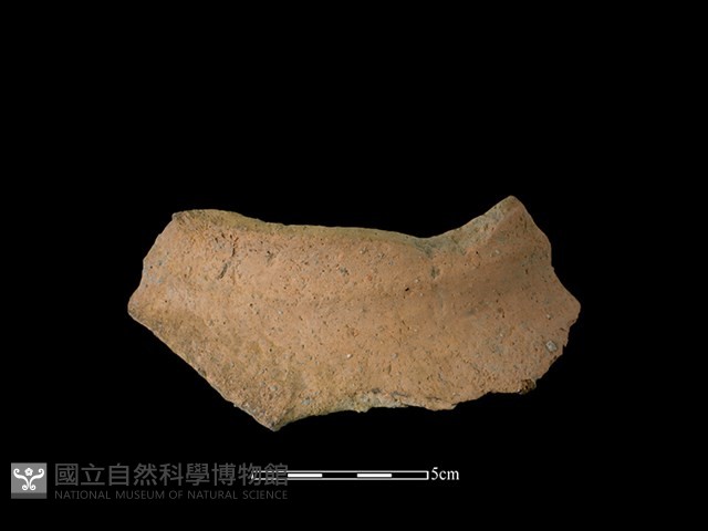 陶罐藏品圖，第1張