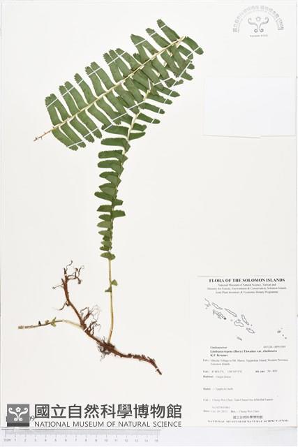 登錄號:BP01509藏品圖，第1張