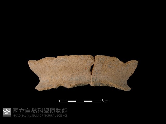 陶罐藏品圖，第1張