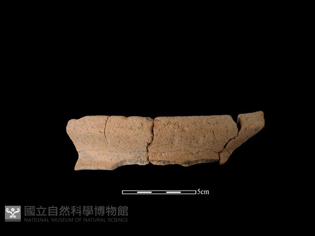 陶罐藏品圖，第1張