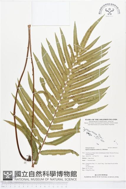 登錄號:BP00439藏品圖，第1張