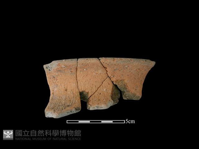 陶罐藏品圖，第1張