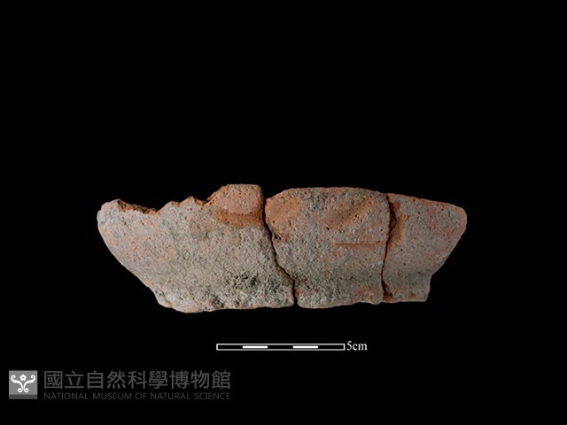 陶罐藏品圖，第1張