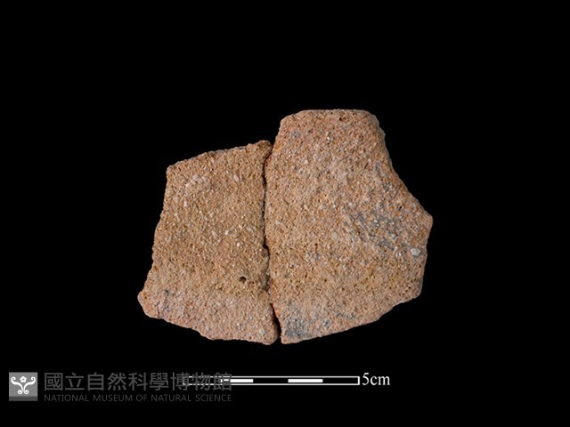 陶缽藏品圖，第1張