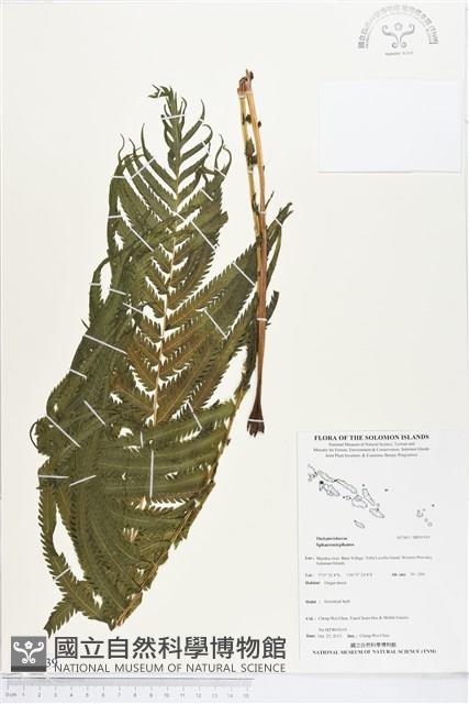 登錄號:BP01939藏品圖，第1張