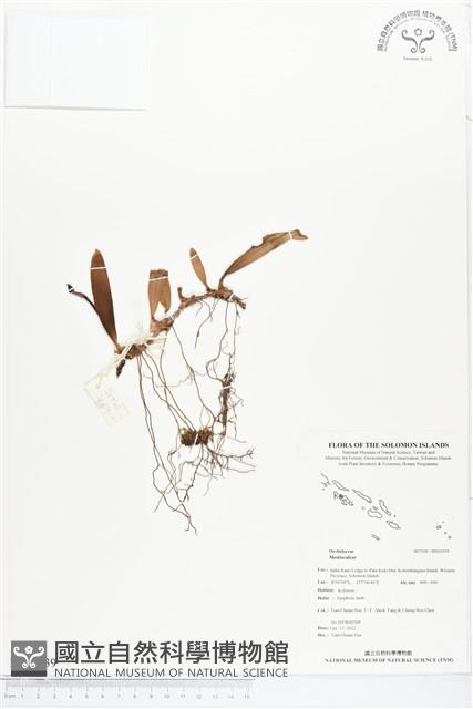 登錄號:BS01939藏品圖，第1張