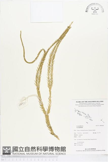 登錄號:BP00828藏品圖，第1張