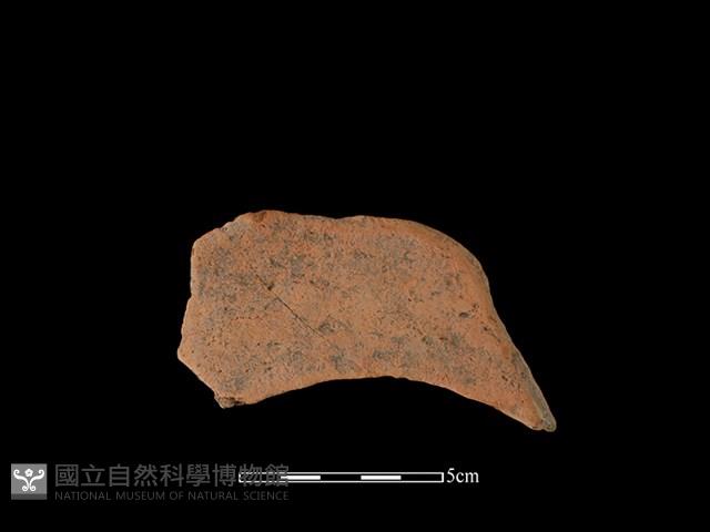 連杯形器藏品圖，第1張