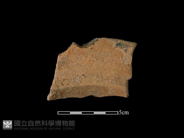 連杯形器藏品圖，第1張