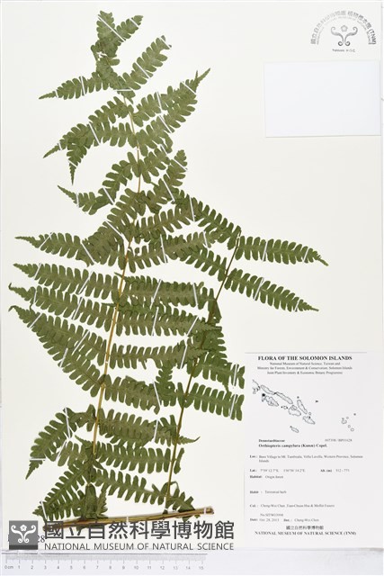 登錄號:BP01628藏品圖，第1張