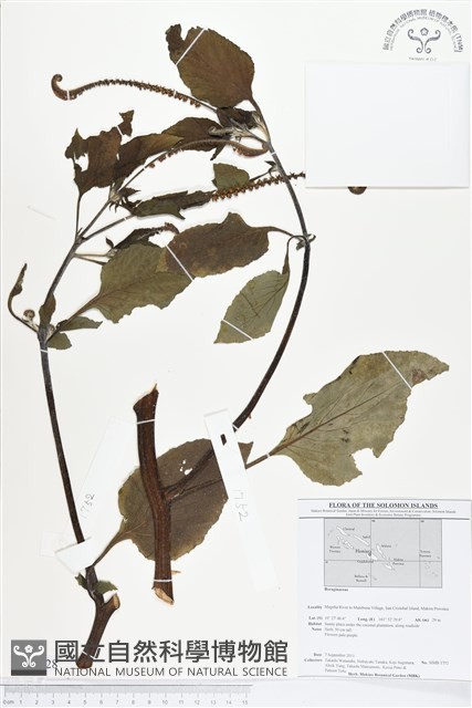 登錄號:BS01628藏品圖，第1張