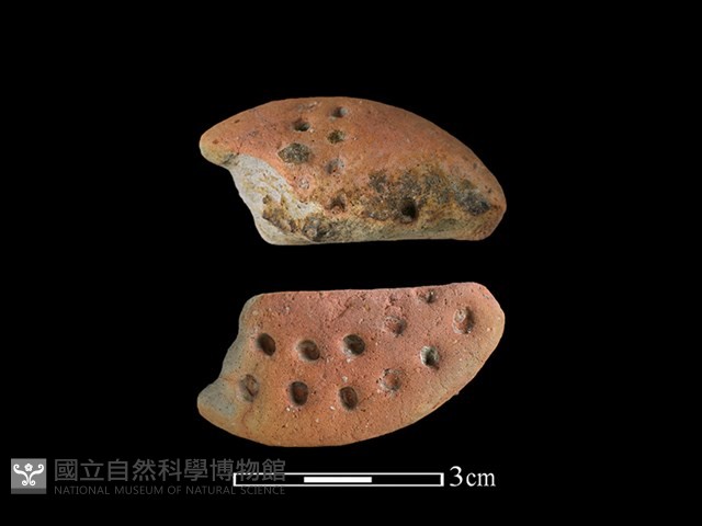 紡輪藏品圖，第1張