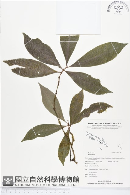 登錄號:BS01428藏品圖，第1張